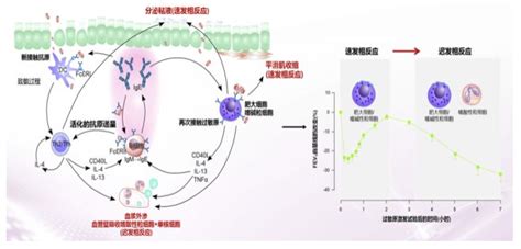 奥马珠单抗靶进入广西了吗?