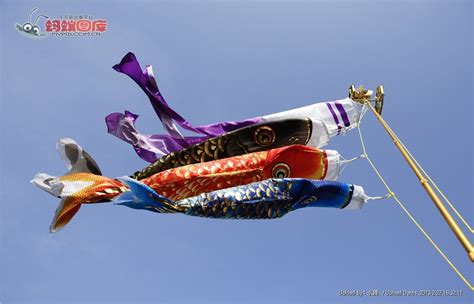 日本掛鯉魚旗是什么意思啊