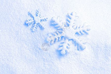 “依依袅袅复青青,句引春风无限情. 白雪花繁空扑地,绿丝条弱不胜莺. ”的意思