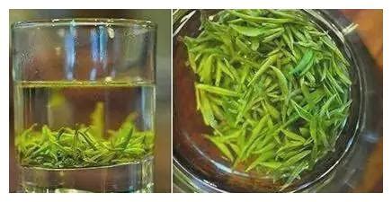 碧螺春怎么泡才好 碧螺春的沖泡方法