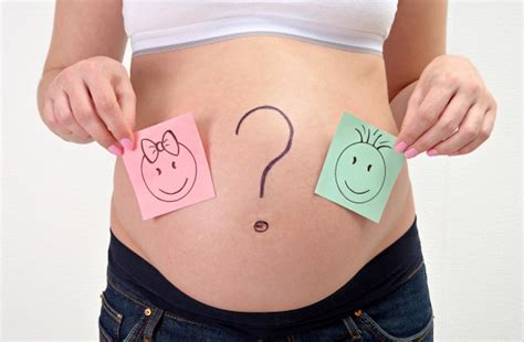 怀孕5个月胎儿胎动明显