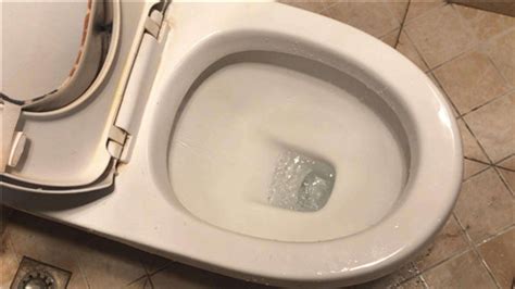 大團餐巾紙堵在馬桶里怎么辦