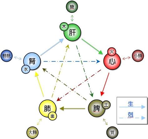 2025年五行属水还是金