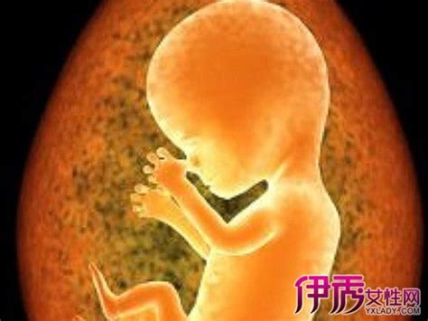 1-12个月婴儿发育过程图