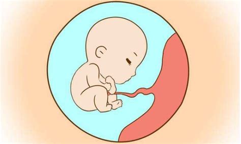 这5个因素才能决定胎儿大小，妈妈们不要再迷信了