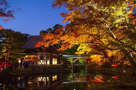秋到日本赏红枫(1)大阪的夜