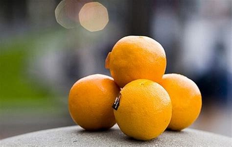 怀孕初期可以吃橙吗