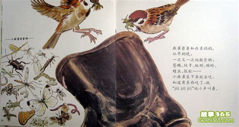 小麻雀学本领_童话作文350字[共计5则]