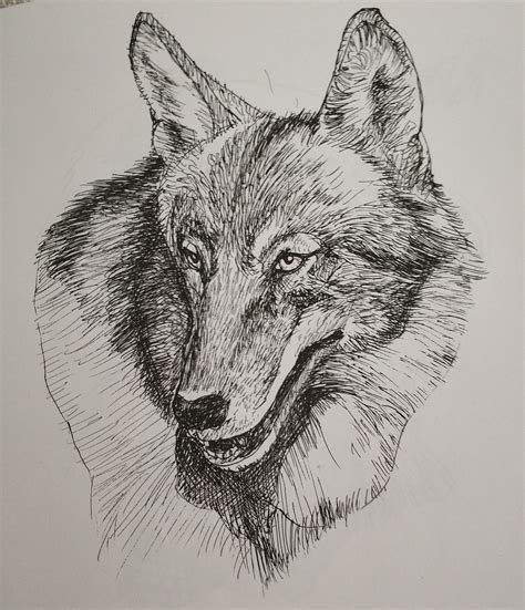 描写动物的唯美短句