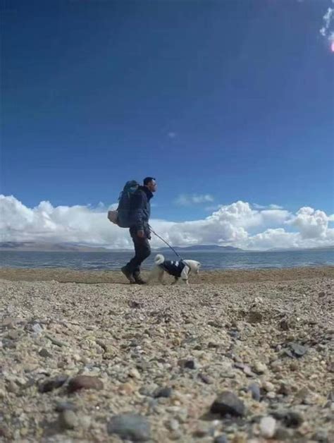 太暖！流浪狗“赖”上河北背包客，一人一狗徒步5千多公里