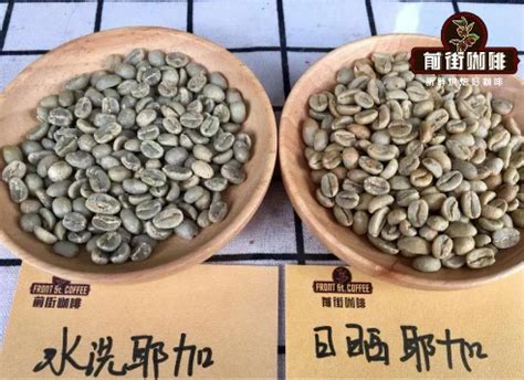 摩卡咖啡豆的风味特点及冲泡建议