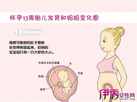 怀孕1-10月身材变化图