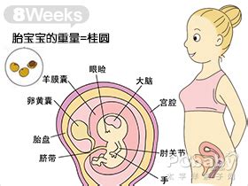 胎儿的大小和什么有关系