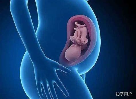 印度孕妇怀孕图片