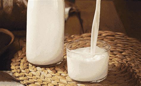 孕妇吃的酸奶怎么挑选