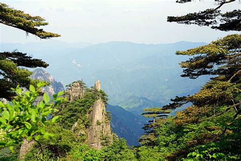 白鹅山庄的评价