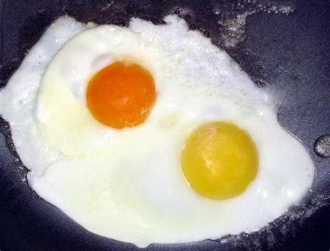 鸡蛋的营养价值跟蛋壳的颜色无关新鲜才是最重要的