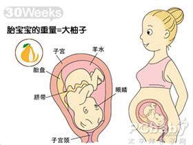 孕30周胎动在肚子下边正常吗