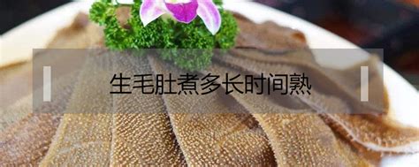 白毛肚煮多長時間就熟了