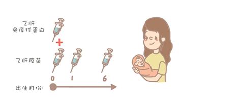孕妇得了乙肝如何防止传染给婴儿