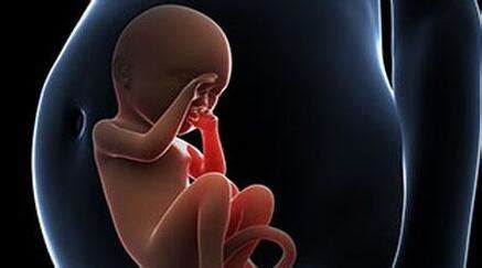 孕中期胎宝宝位置变化