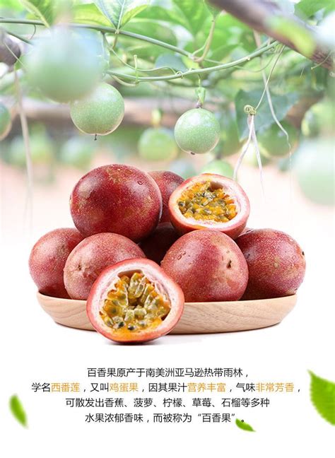 百香果营销文案(经典103条)