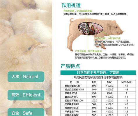 关于安琪酵母的使用量