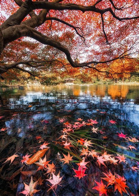 西湖四季之景-写景作文300字[推荐4则]