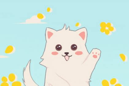 农历七月十六能否埋死去的狗