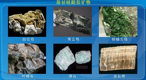 礦物質含有哪些元素？？礦物質和微量元素是同一概念嗎？