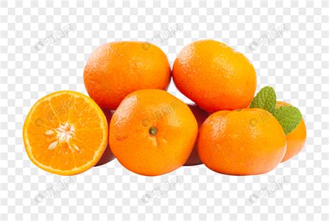 橘子的名片-状物作文250字[共5则]