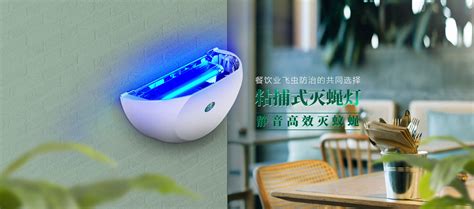 大家的滅蠅燈是裝在什么位置