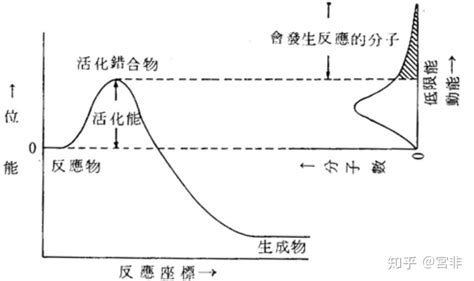 化学中催化剂的定义和作用是什么？