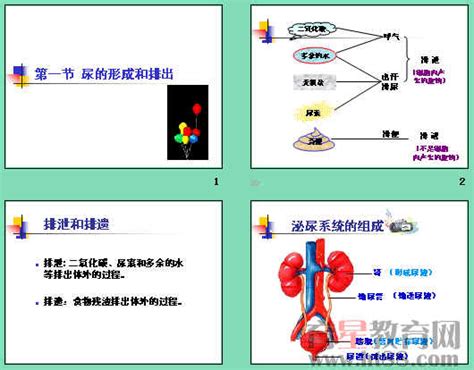 排尿酸第一名