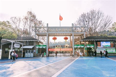 现在南京红山森林动物园门票多少钱一个人?进去之后参观要不要在收费?