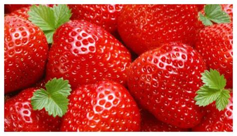 怀孕能吃草莓吗?