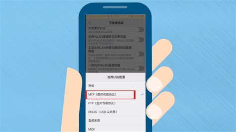 flv文件怎么播放?播放器在哪下?