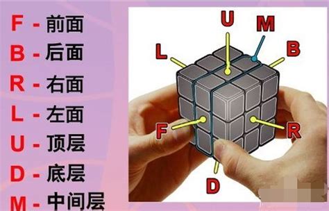 什么软件不要钱能还原魔方?