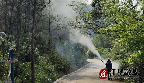 谁知道《森林保卫战》的几首插曲