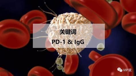 抗肿瘤五种食物