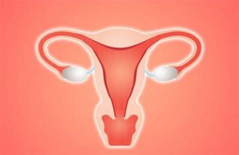 子宫畸形会影响生育吗