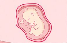 孕32周胎儿各项指标对照表