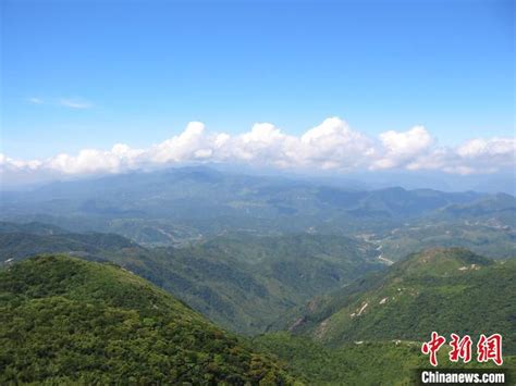 广东省已建立县级以上自然保护地1359个