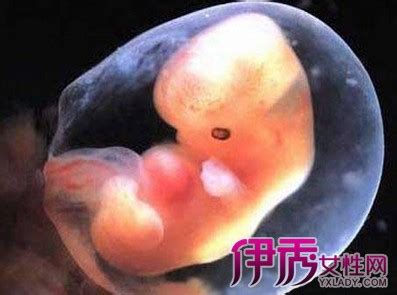 男人用假肚子假装怀8个月的宝宝