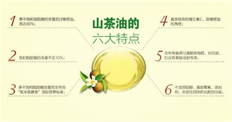 山茶油的功效与作用及食用方法