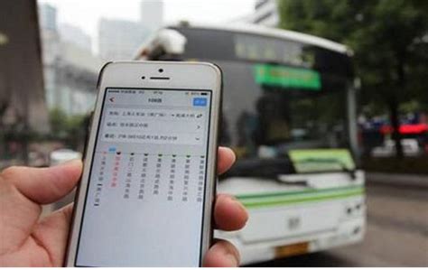 我已下载了广州市实时公交车查询.但查不到是什么原因呢
