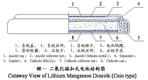 怎么辨别纽扣电池的正负极？