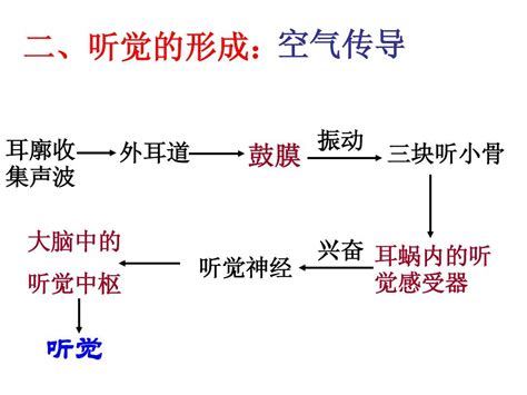 噪音课_关于一节特别的课的作文500字(优秀5则)