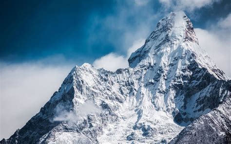 珠穆朗玛峰的高度是多少?