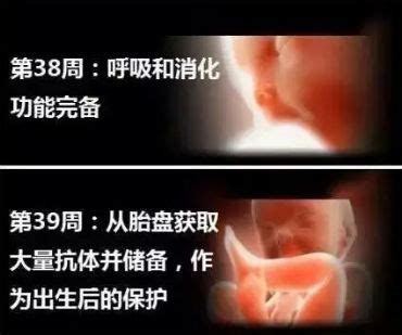 孕妇玩手机对胎儿有什么伤害